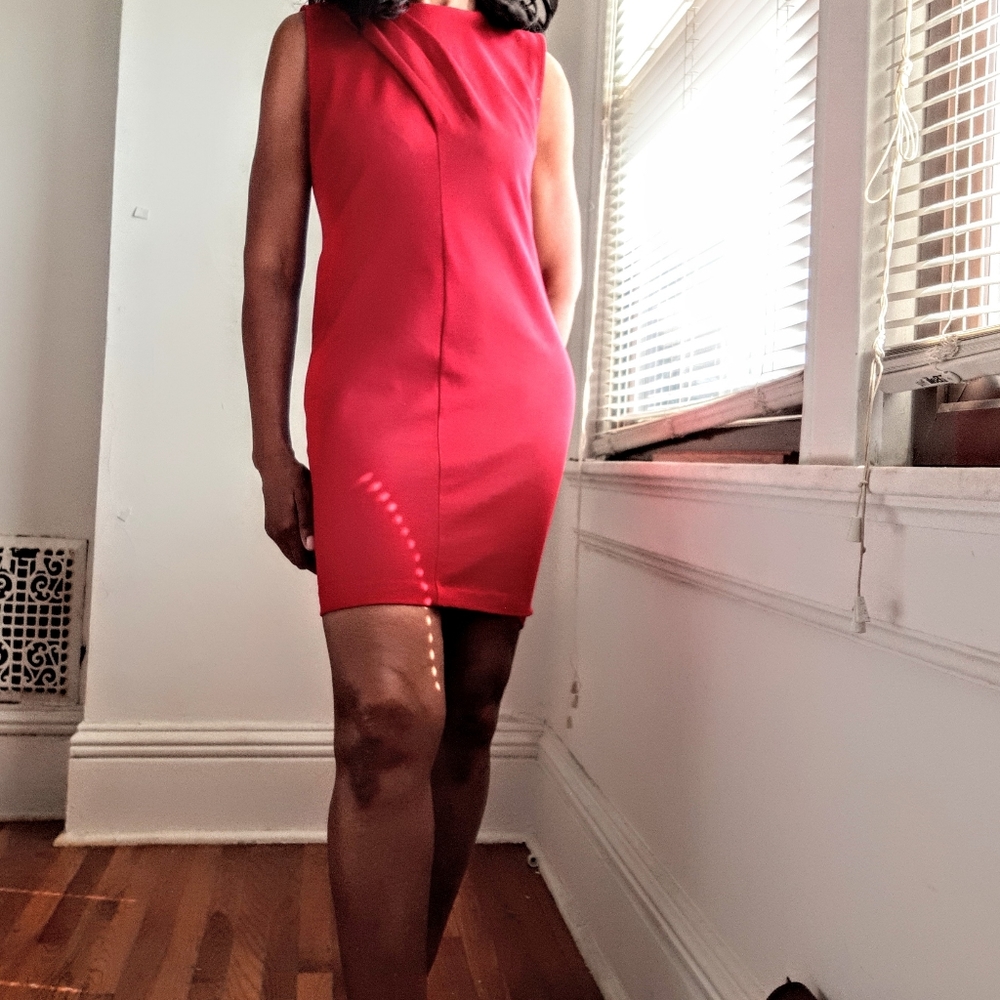 EUC - Talbots Raspberry-Colored Shift Dress - Picture 3 of 3